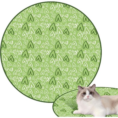 Jouet interactif de boule de chat, jouet de chat de boule (1/5)