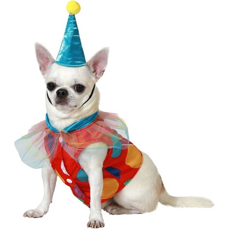 Costume per Cane Taglia M Pagliaccio (1/3)