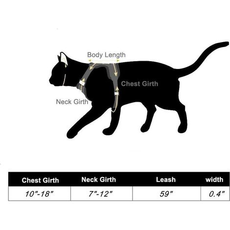 Harnais et Laisse pour Chat Réfléchissant - Ensemble de Promenade Sécurisé et Confortable (1/5)