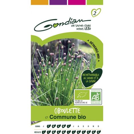 Gondian - ciboulette commune bio (1/3)