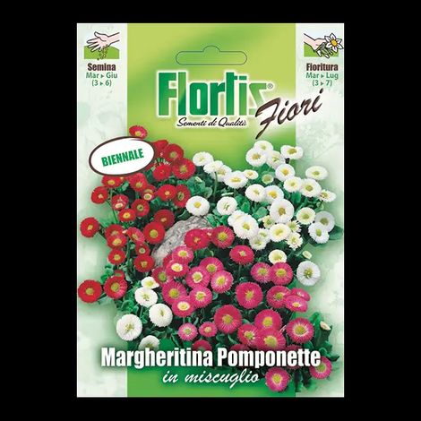 FLORTIS Margheritina Pomponette mix (1/2)
