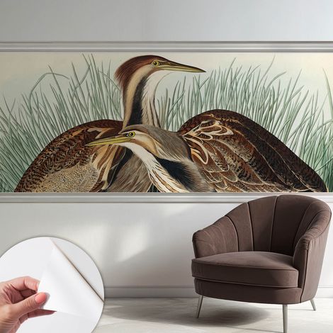 Fotomurale adesivo - murale da parete - Carta da parati autoadesiva - design parete moderno - Uccelli realistici 250x104 cm (1/5)