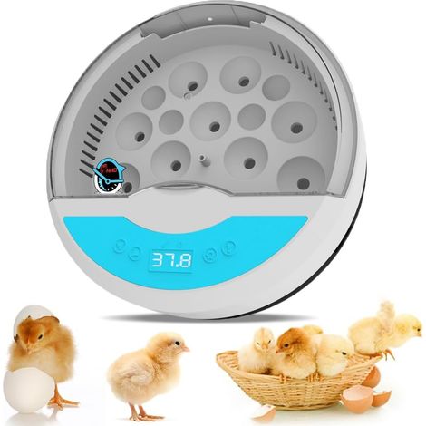 Incubateur automatique, capacité 9 œufs, pour œufs de volaille, avec contrôle de la température et retournement automatique.-AquaForge (1/5)
