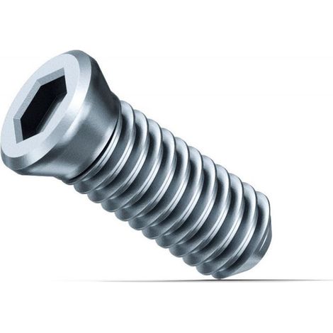Fein 10x Tornillo de sujeción SX - 31350076000