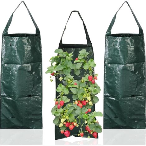 3 Pièces Sac de Plantation, Tour a Fraise avec 10 Trous Sac de Culture Potager, Bonne Respirabilité pour Fraises, Tomates, Fleurs (1/5)