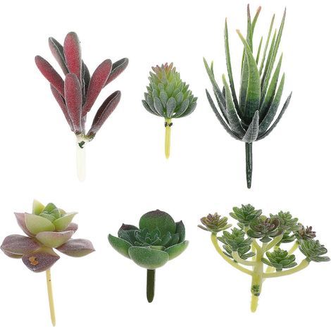 Lot de 6 plantes succulentes artificielles décoratives, style chic, à monter soi-même.-5.50X5.00X5.00CM (1/3)