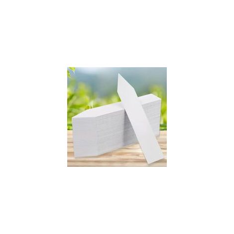Étiquettes de plantes en plastique, étiquettes de jardin en plastique blanc 10x2cm, étiquettes imperméables pour plantes blanches, marque de fleurs de jardinage, étiquettes de plantes succulentes (1/4)