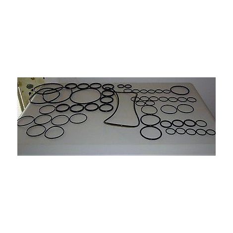 KIT OR ORING POMPA IRRORATRICI IRRORAZIONE ANNOVI REVERBERI 1105 1245 BH1200 (1/2)