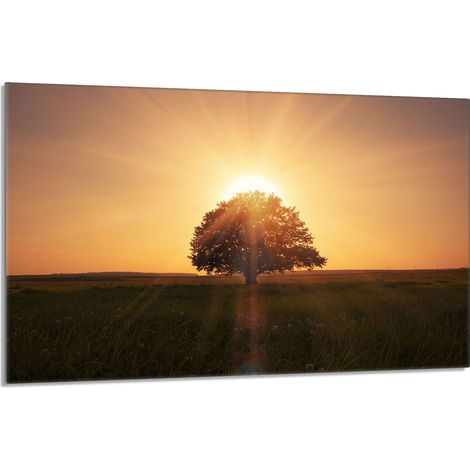 Glasschutzplatte für den Herd 80x52 Baum (1/5)