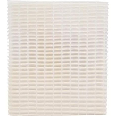 Filter für Duolix Duocosy HR Doppelstrom 412193 - Atlantic