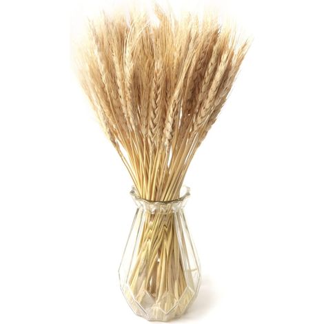 100PCS Fleurs séchées Blé Naturel Décoration Bouquet Blé pour Mariage Décor Maison Balcon Fête Table Vase (Beige)