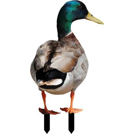 Farfi Entendekoration – Rustikale Acryl-Geflügelstatue, beidseitig bedruckt, realistisch und dekorativ, für den Garten – D (1/5)