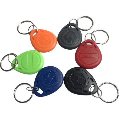 Lot de 10 Porte-clés RFID 125 kHz EM4100 ABS Imperméable Lecture Seule Accès