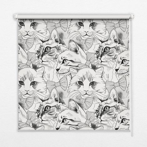 Innenrollo Fensterrollo - Rollo ohne Bohren - Sichtschutzrollo - Lichtdurchlässiges Rollo - Rechteckiges - Rollo - (150 cm x 140 cm) - Gezeichnete Katzen (1/5)