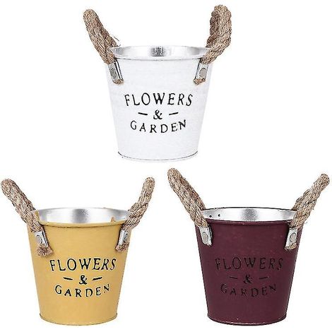 Lot de 3 pots de fleurs rustiques
