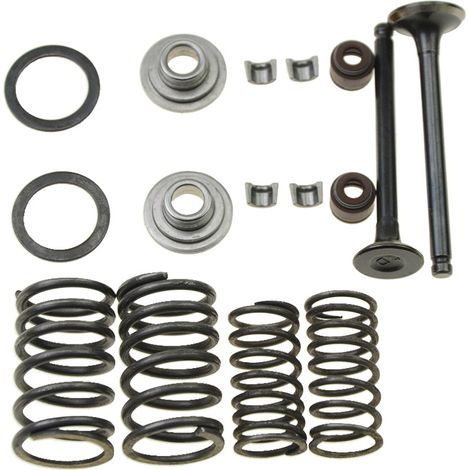 Valve repair kit for GY6-50 engines (50 cc), motorcycles and karts--DTEKGAZ