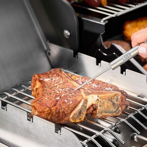 RÖSLE Termometro per gourmet, termometro per barbecue con indicazione digitale e illuminata della temperatura in °C e °F, da -40 °C a +200 °C, acciaio inox 18/10, lunghezza 21,5 cm (1/4)
