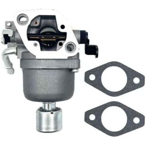 Carburateur - Pour Moteur 4 Temps - Compatible Briggs Stratton 697722 - Remplacement Direct - 1 Pièce (1/4)