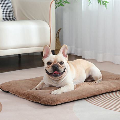 Tapis Chauffant Pour Chat - Tapis Thermique Autochauffant En Nylon - Pour Chat Intérieur Ou Extérieur Et Chien Petit Format - 50 x 40 cm - 1 Pièce (1/5)