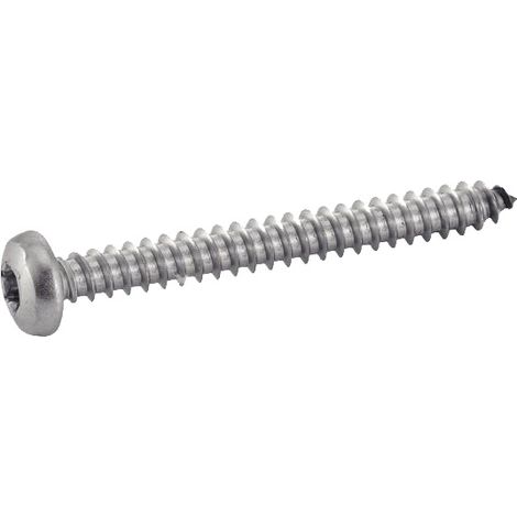 Vis à tôle tête cylindrique large, torx inox - Longueur: 16 - Qualite Inox: A4 - Diamètre: 5.5