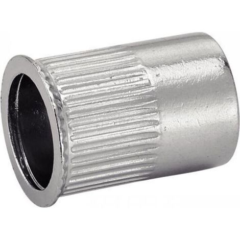 Rivetti a testa piatta in acciaio inox A2, filettatura M6, confezione da 50 – codice articolo 626336
