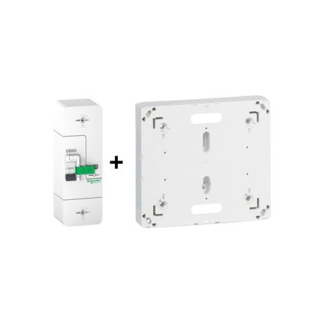 Schneider - Disjoncteur de branchement EDF 15A/45A instantanu00e9 + Platine Legrand - 500mA - bipolaire - Ru00e9f. : R9FT645+401191 (1/2)