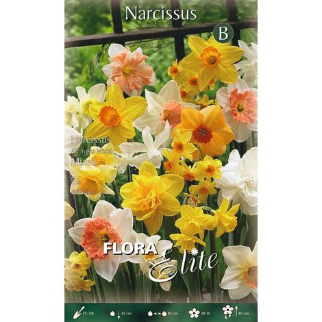 Mix Bulbi di Narciso 5 Bulbi