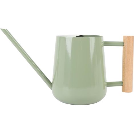 Arrosoir en acier inoxydable avec poignée en bois pour plantes succulentes type 2 (1/5)