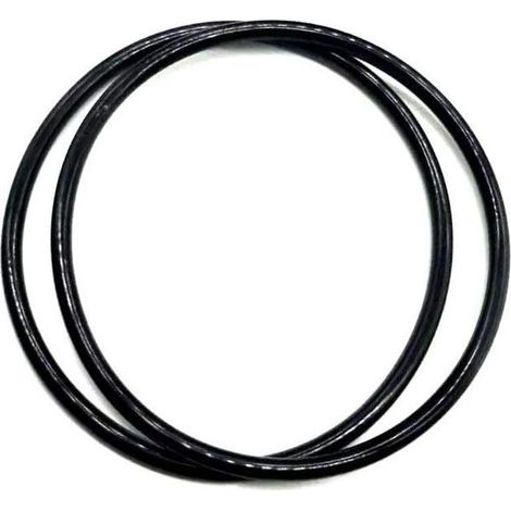 Ersatz-O-Ring CLX110K für Hayward Chlorinatorkappen (CL100, CL110) (1/5)