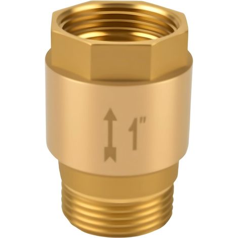 Clapet Anti-retour 1", Clapet Anti-retour Des Eaux Usées en Laiton, Inoxydable et étanche 1 pouce AG vers IG, pour Pompe à Eau, Pompes de Jardin, Machines à Laver,OUYLAF