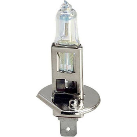 Xplorer Lampadina Alogena H1 12V 55W Moto Scooter Luce Affidabile