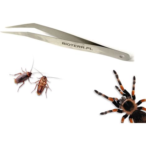 BioTweezer Soft Angled Soft Curved Pinzette 12cm (1/5)