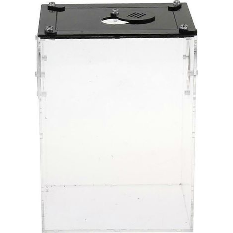 Boîte d'alimentation transparente pour reptiles, cage d'incubation pour lézards et grenouilles (1/4)