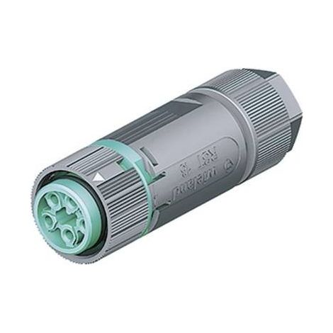 Wieland 46.051.4553.6 Connettore circolare Giunto dritto Serie (connettore circolare): RST® MINI Tot poli: 4 + PE 1 pz.