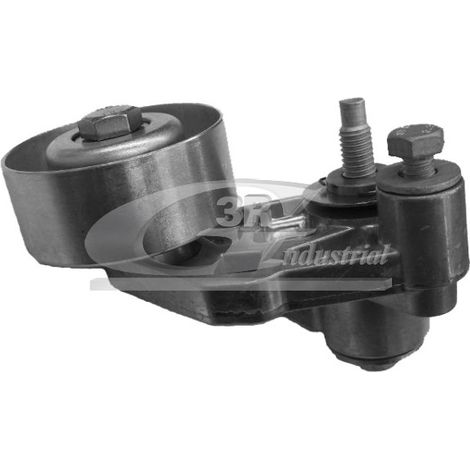 3RG 13219 RODILLO TENSOR