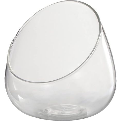 Terrarium Verre Biseauté pour Plantes et Fleurs Bouteille Miniature pour Mousse Mosaïque Micro-Paysage Décoratif (1/5)