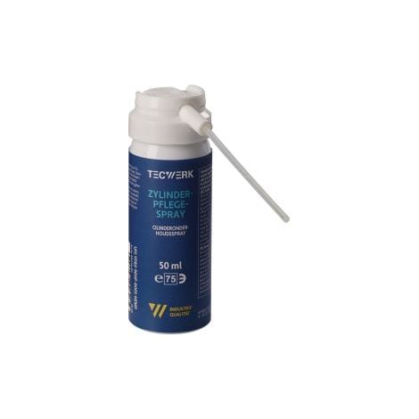 Spray d'entretien cylindre 50ml aérosol TECWERK (1/2)