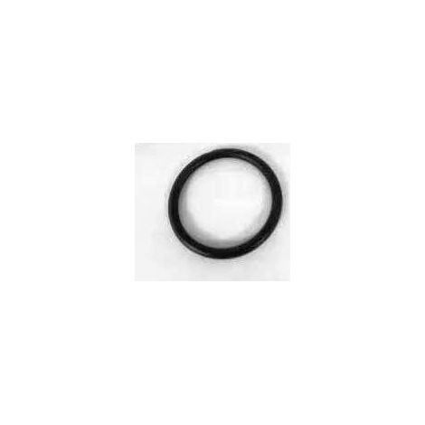 86529541 O-ring per custodia NUOVO Olanda CNH originale