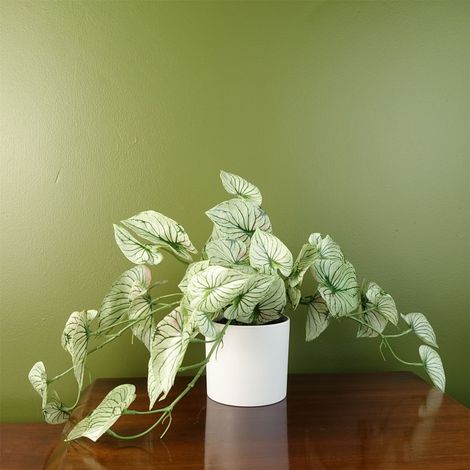 30cm Artificial Trailing Plant Realistic Variegated Potted Alocasia (1/5)