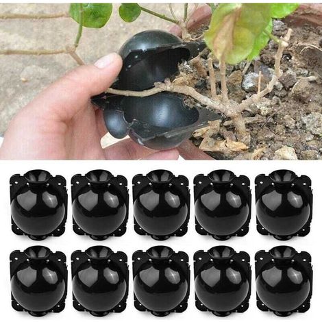 10 boules d'enracinement pour plantes - Boîte de greffe de jardin - Boîte d'enracinement pour semis - Boules de semis - 5 cm, Noir (1/4)