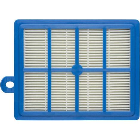 Filtro hepa Aspirapolvere Electrolux EFH12 Philips FC8031 84FL36