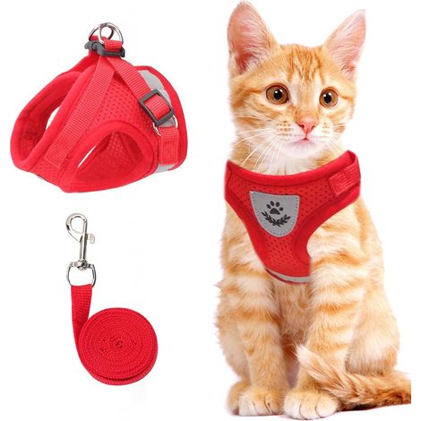 Harnais Chien - Réfléchissant - Maille Respirante - Ajustable - Pour Chiens et Chats de Petite Taille - 1 Pièce (1/5)