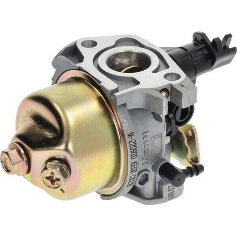 Carburatore/165 MTD 75110974A (1/5)