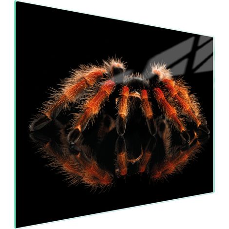 Glasschneidebrett 52x40 Spider
