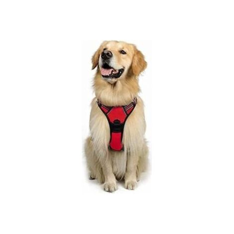 Rotes, reflektierendes, verstellbares Anti-Zug-Hundegeschirr, L, großes Hundegeschirr mit vorderem Leinenhaken zum Wandern, Reisen, Auto, American Staff, Border Collie, FLITI