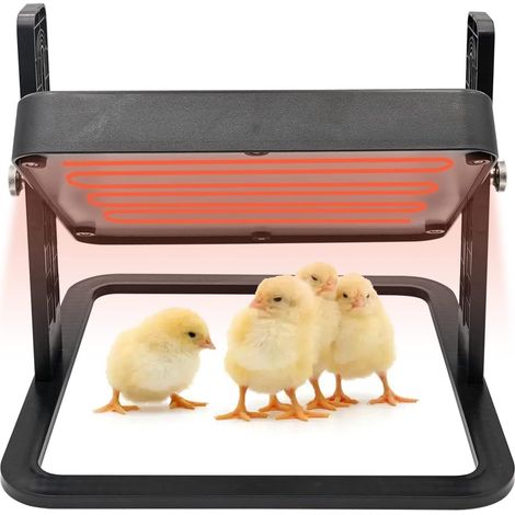 1 Plaque Chauffante Pour Poussins, Chauffage Constant 55°C, ABS Rotatif 360°, Pour Volailles Et Animaux (1/5)