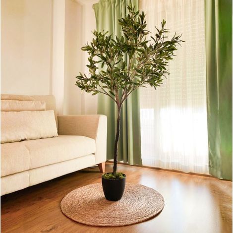 thuja smaragd 140 cm Lebensbaum Thuja occidentalis Smaragd 120-140 cm Hhe Ballenware