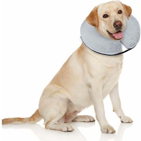 Collier gonflable de protection pour chiens et chats - Le collier de , XU,récupération à cône doux pour chien ne bloque pas la vision E-Collar (Grand, Gris) - KZQ