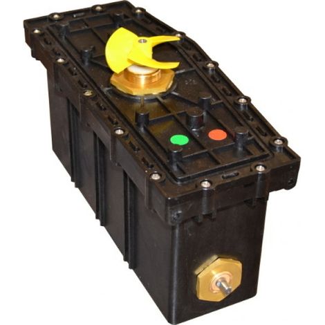 Dolphin Box Motore con Centralina Originale