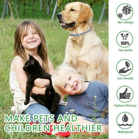 Peigne électrique pour animaux, têtes en acier inoxydable, élimine efficacement les poils morts des animaux à poils longs et courts comme les chats, les chiens, les lapins et même Totoro. (1/4)